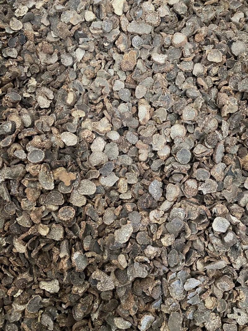 产地货源云南特产干野生黑松露片菌猪拱
