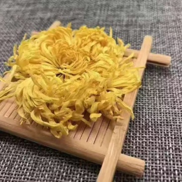 金丝皇菊婺源大量批发！