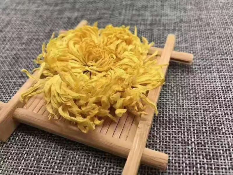 金丝皇菊婺源大量批发！