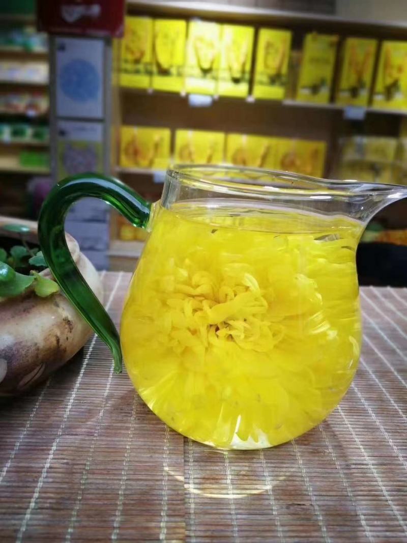 金丝皇菊婺源大量批发！