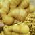 生黄姜产地批发货源充足价格便宜保质保量