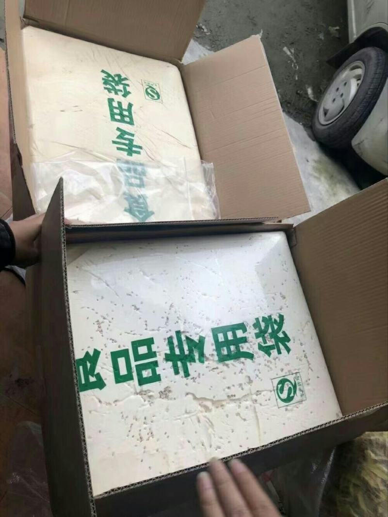 火爆产品麦芽糖叮叮糖10元模式儿时味道厂家直销下单秒发