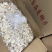 海底椰片泰国海底椰片无硫煲汤靓料大量现货批发