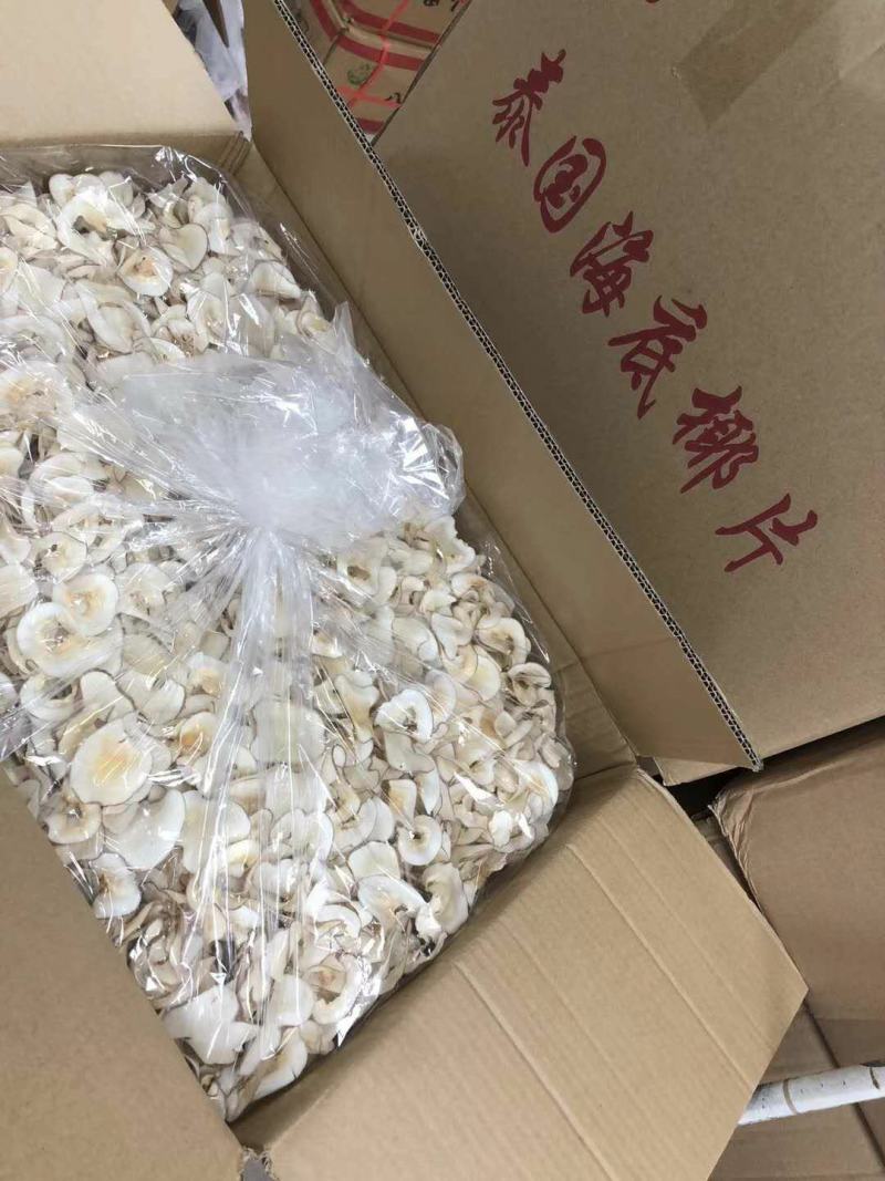 海底椰片泰国海底椰片无硫煲汤靓料大量现货批发