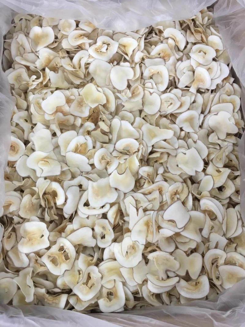 海底椰片泰国海底椰片无硫煲汤靓料大量现货批发