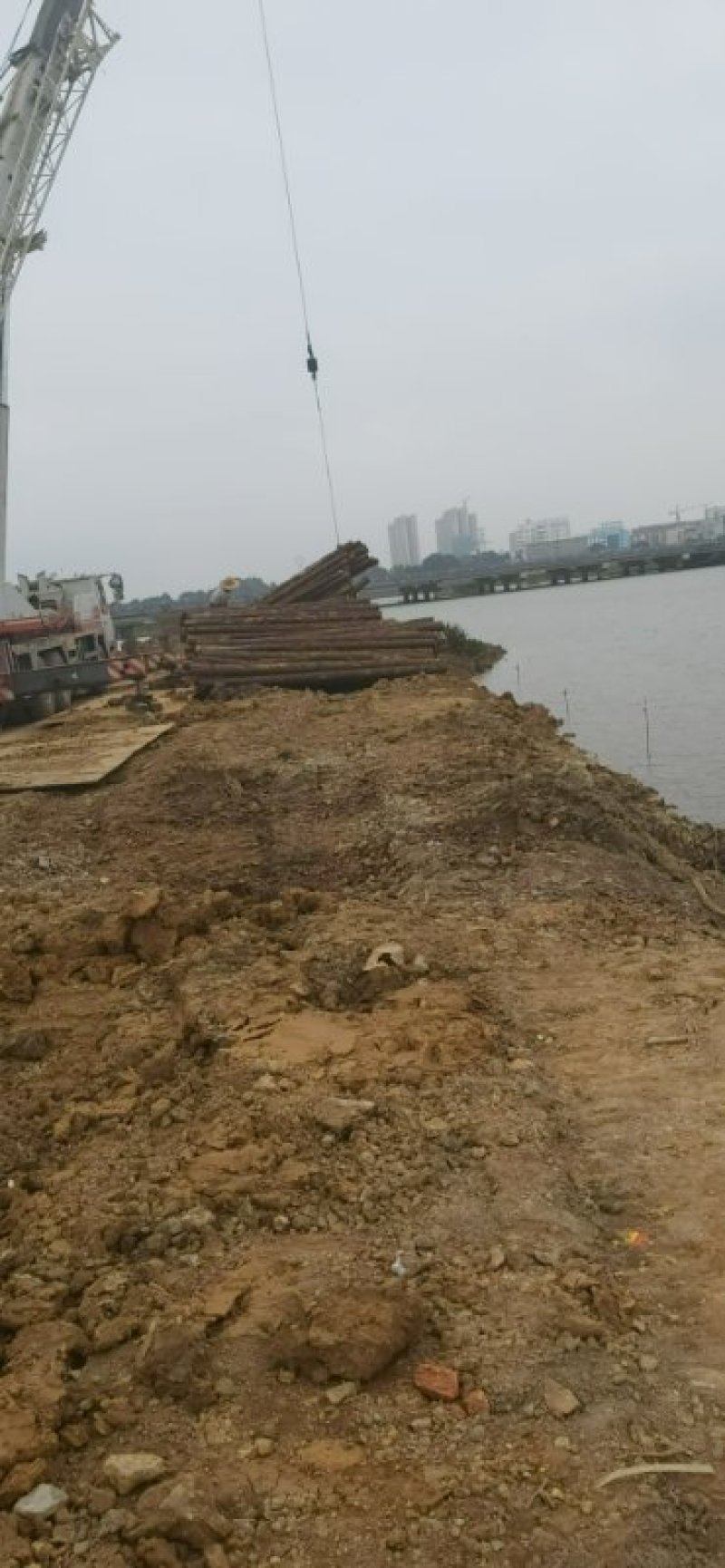 大量湿地松木桩，本地松木桩，批发欢迎新老客洽谈预定