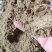 港口经销长期出售快到期进口鱼粉价格低指标好喂蛋鸡蛋鸭母猪