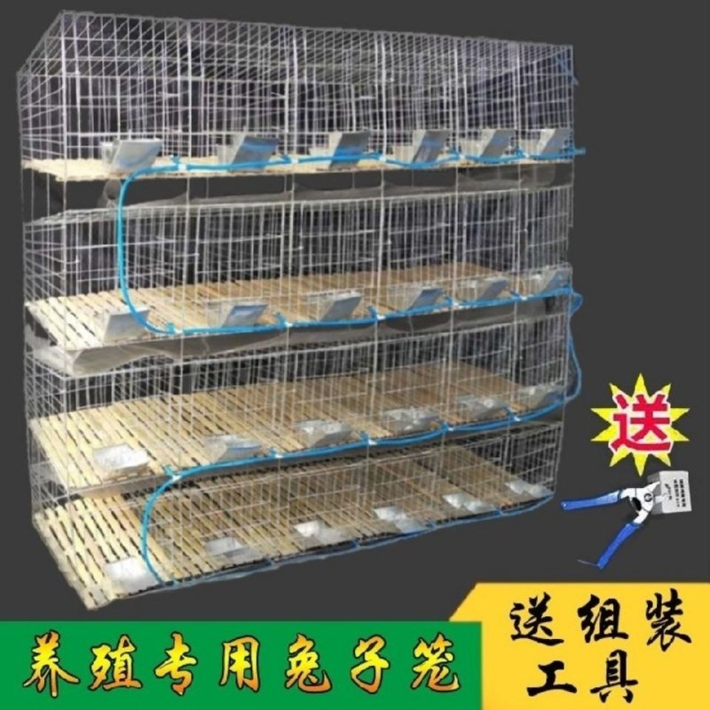 加粗24位兔笼12位养殖笼9位子母兔笼大号兔笼养殖场专用