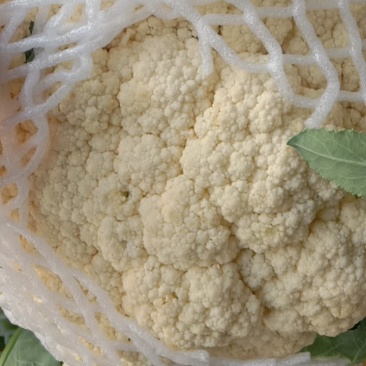 有机花菜，大量供应，基地直供，欢迎客户联系。