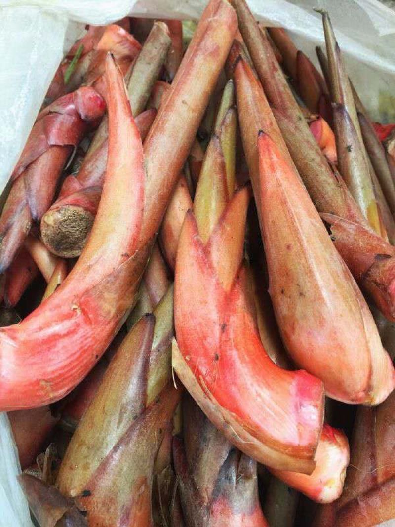 云南特产香料草果芽不一样的口感