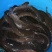 3斤以上八胡鲶鱼胡子鲢鱼量大从优
