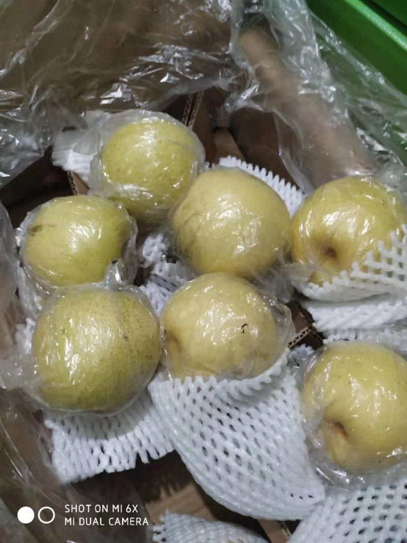 水果膜袋皇冠梨，箱装供货源头规格品类齐全大量订购
