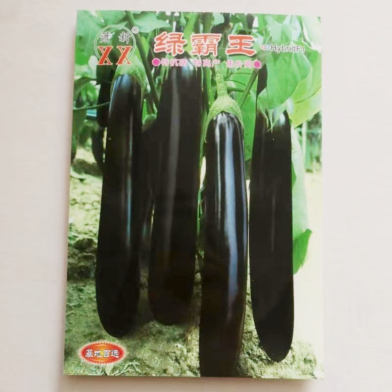 茄子种子绿霸王早熟绿把长茄品种果实长棒形紫黑且光亮