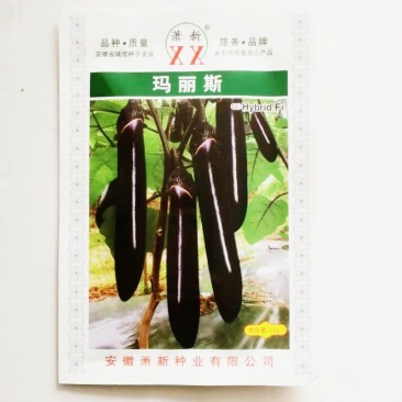 茄子种子玛丽斯早熟果皮紫黑色肉质软市场易销售