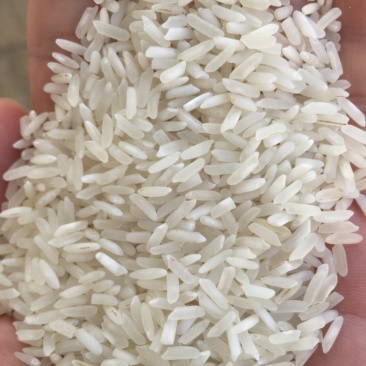 巴基斯坦白米中粮巴白俊佳巴白
