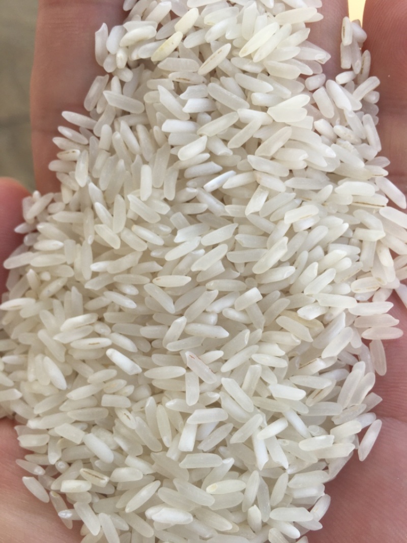 巴基斯坦白米中粮巴白俊佳巴白