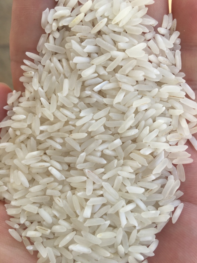 巴基斯坦白米中粮巴白俊佳巴白