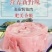 无皮鳄鱼肉一百斤以上18元零售35