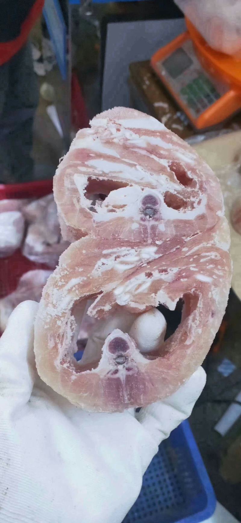 无皮鳄鱼肉一百斤以上18元零售35