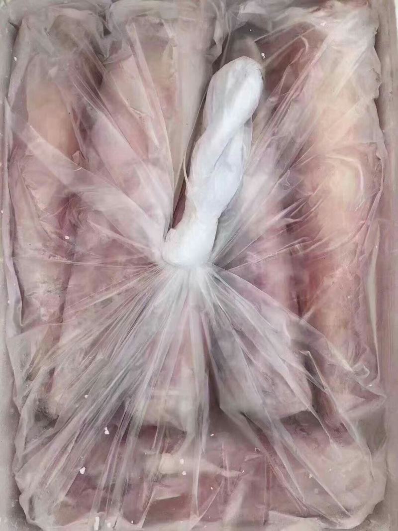 无皮鳄鱼肉一百斤以上18元零售35