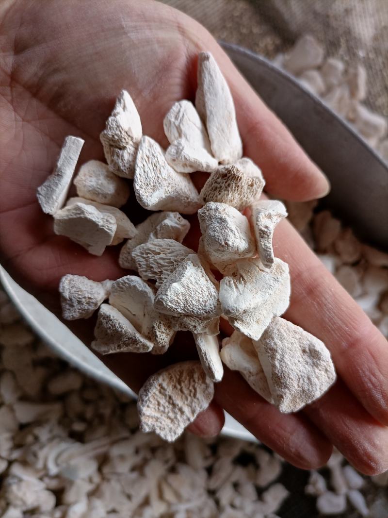 【傲宇药材】龙骨过筛量大从优，欢迎选购