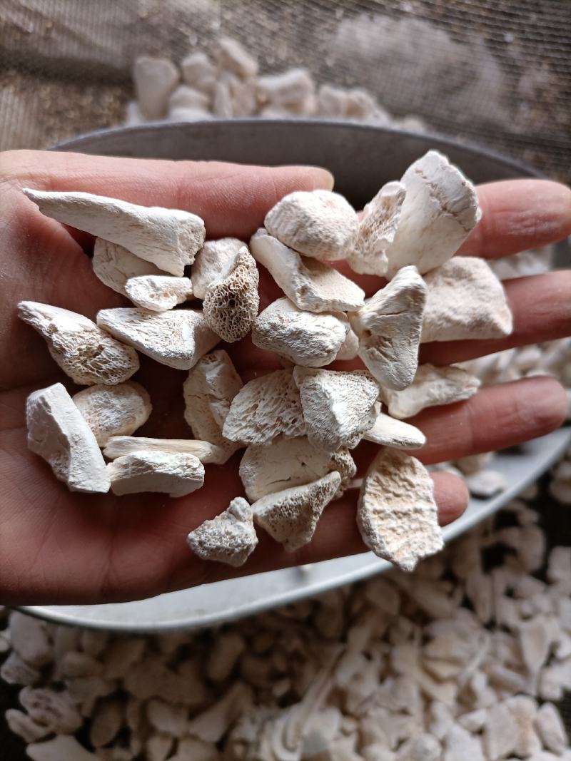 【傲宇药材】龙骨过筛量大从优，欢迎选购