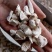 【傲宇药材】龙骨过筛量大从优，欢迎选购