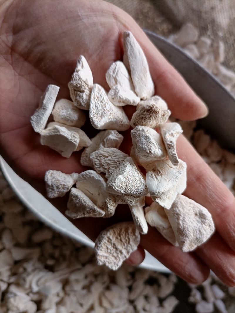【傲宇药材】龙骨过筛量大从优，欢迎选购