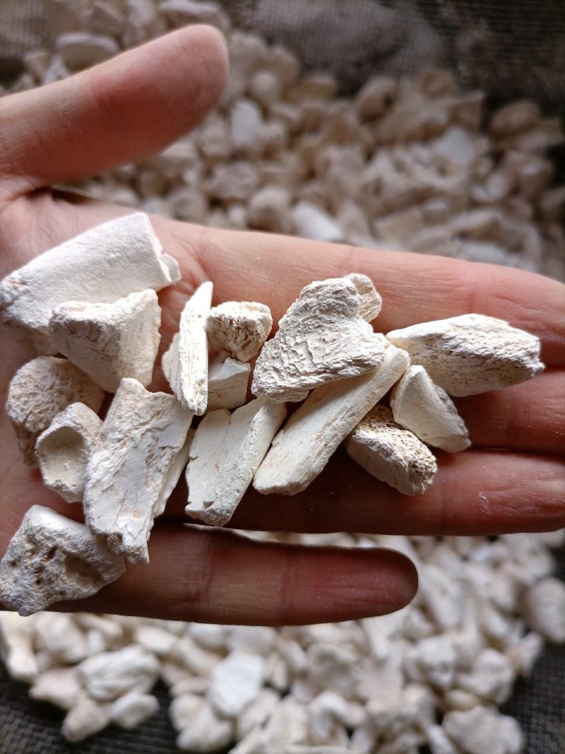 【傲宇药材】龙骨过筛量大从优，欢迎选购
