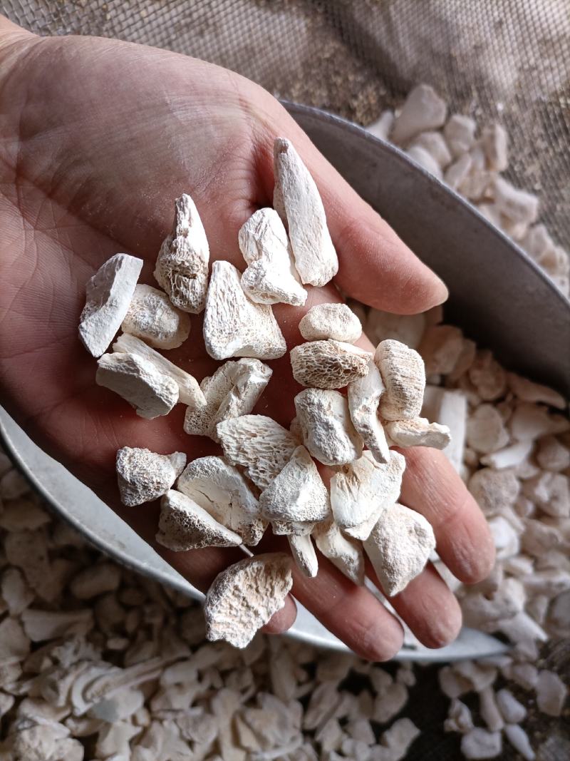 【傲宇药材】龙骨过筛量大从优，欢迎选购