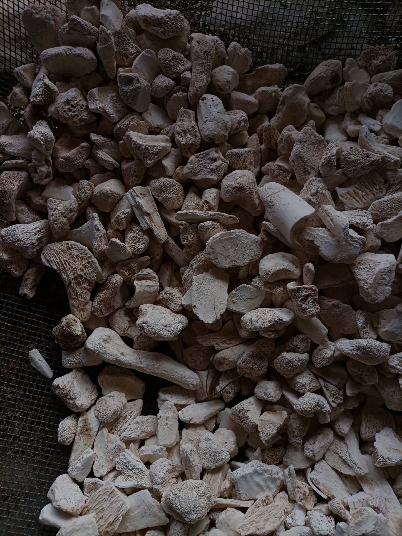 【傲宇药材】龙骨过筛量大从优，欢迎选购