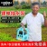 家用充电式自吸泵便携式浇花打药洗车水泵户外浇菜小泵抽水机