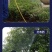 家用充电式自吸泵便携式浇花打药洗车水泵户外浇菜小泵抽水机