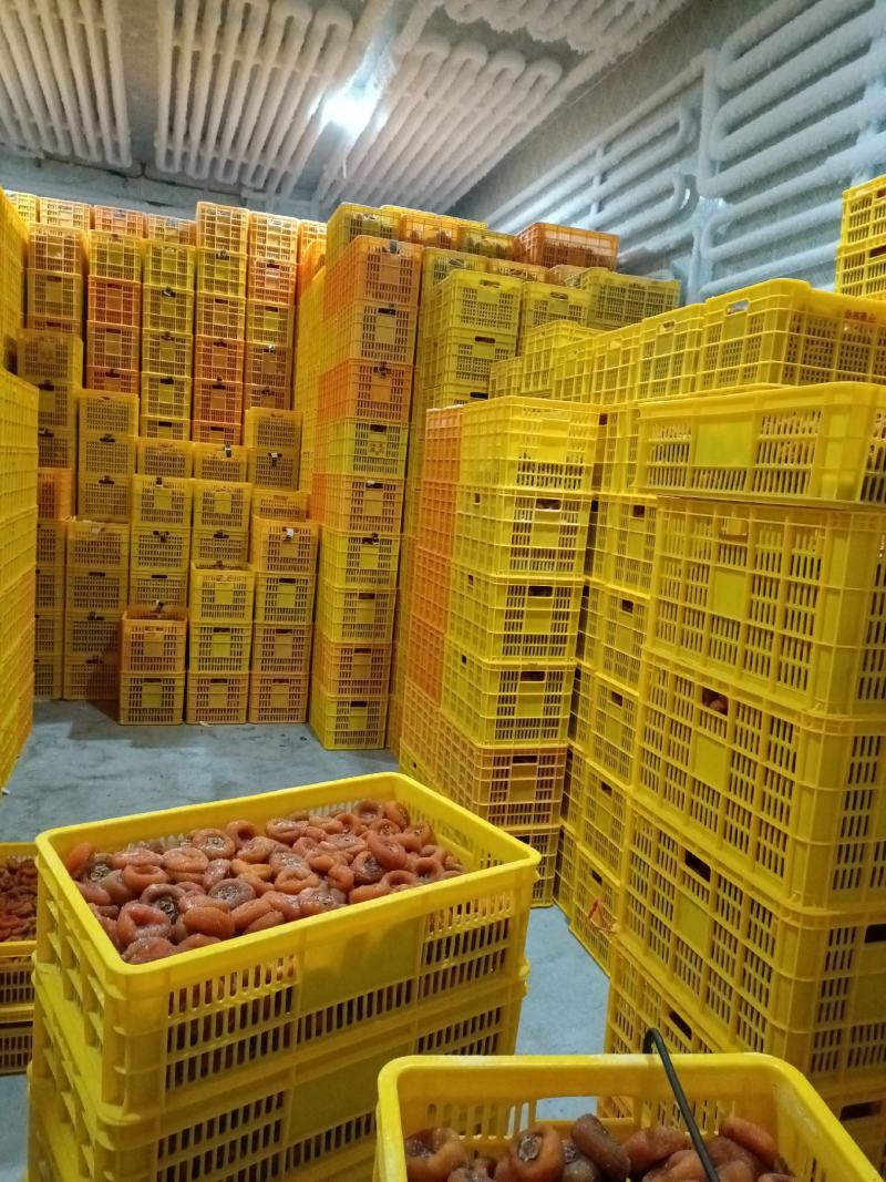 广西桂林恭城柿饼，优质圆饼，吊饼，斤装，5斤装，一件代发