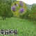 紫花苜蓿种子多年生四季南北方牧草籽芽苗菜绿化蜜源绿肥草木