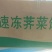 荠菜馅荠菜块新鲜荠菜联系我