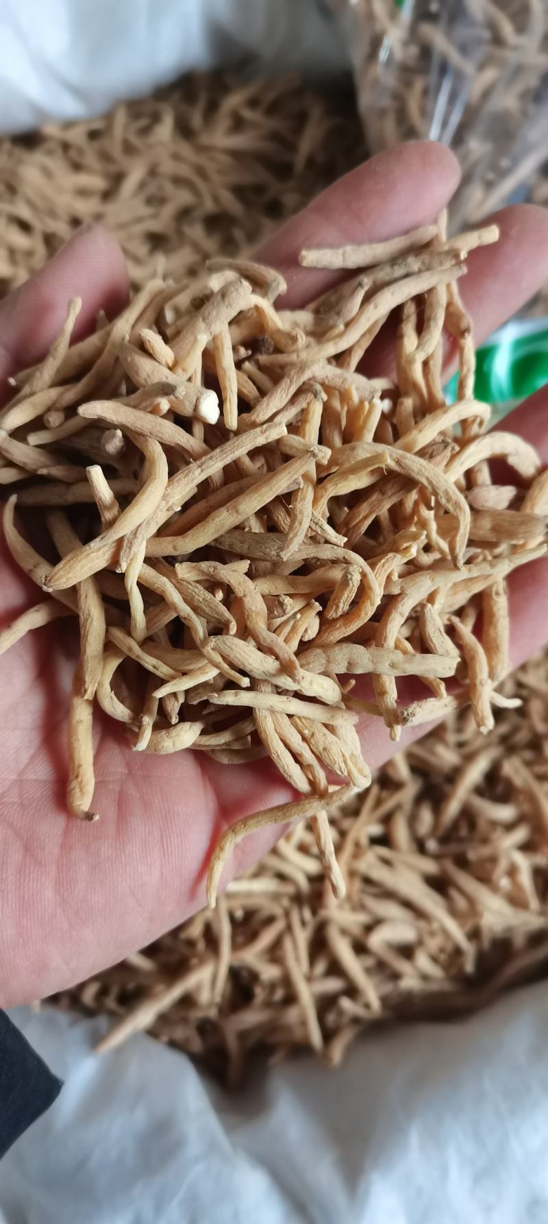 太子参孩儿参无硫各种规格各种中药材批发