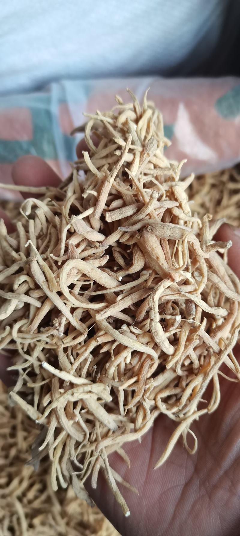 太子参孩儿参无硫各种规格各种中药材批发