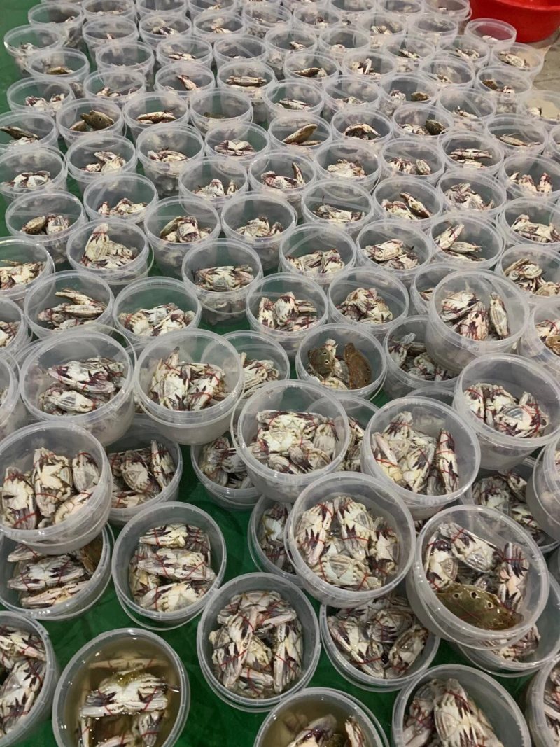 一卤咸蟹子！一手货源！微商爆款！