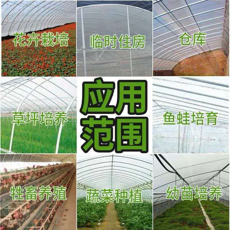 连栋，联动大棚肩并肩，养鸡鸭鹅，西瓜，蔬菜草莓大棚