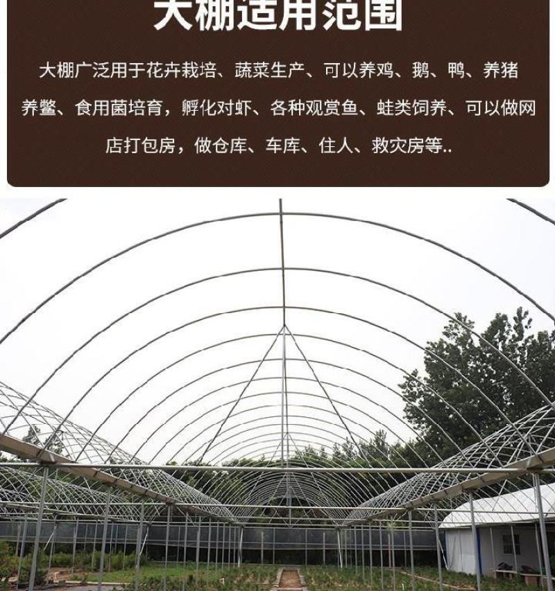 连栋，联动大棚肩并肩，养鸡鸭鹅，西瓜，蔬菜草莓大棚