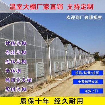 连栋，联动大棚肩并肩，养鸡鸭鹅，西瓜，蔬菜草莓大棚