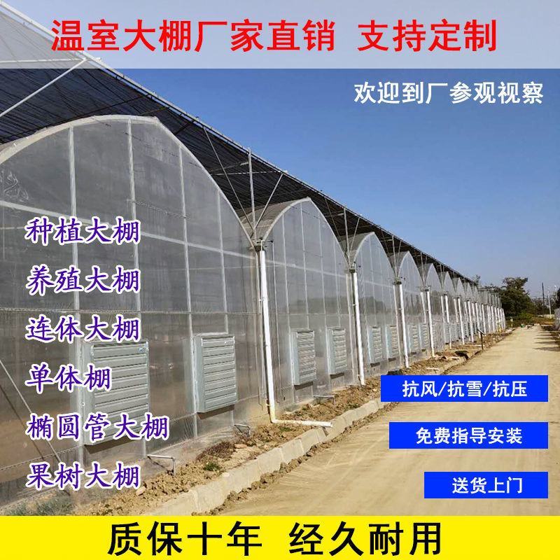 连栋，联动大棚肩并肩，养鸡鸭鹅，西瓜，蔬菜草莓大棚