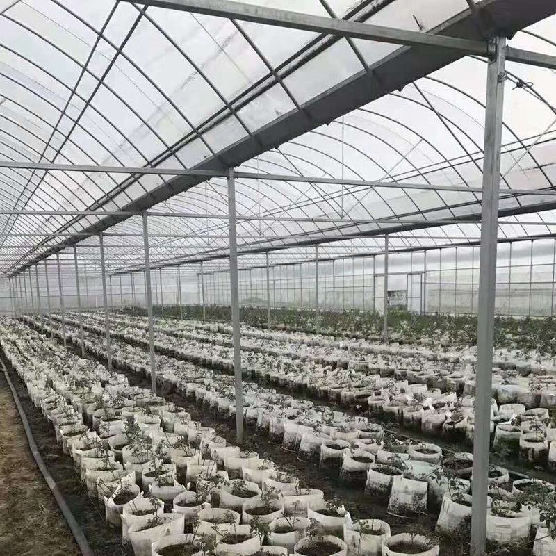 连栋，联动大棚肩并肩，养鸡鸭鹅，西瓜，蔬菜草莓大棚