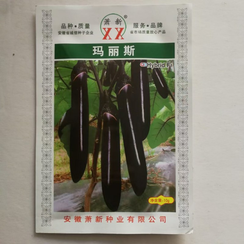 绿霸王紫黑茄种子早熟一代杂交品种绿把高端品种种子