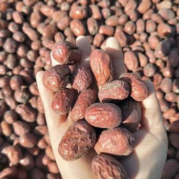 新疆红枣灰枣一级货源质量保障原产地批发一件代发