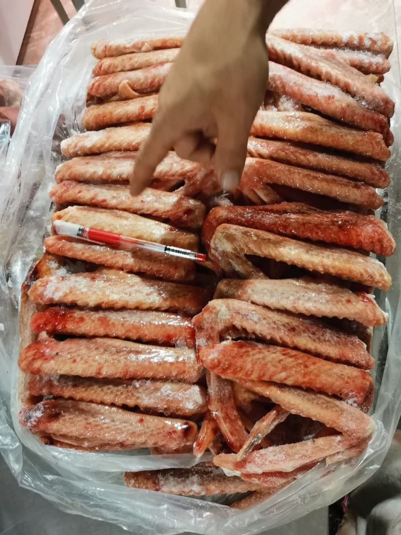 常年批发零售东北大鹅