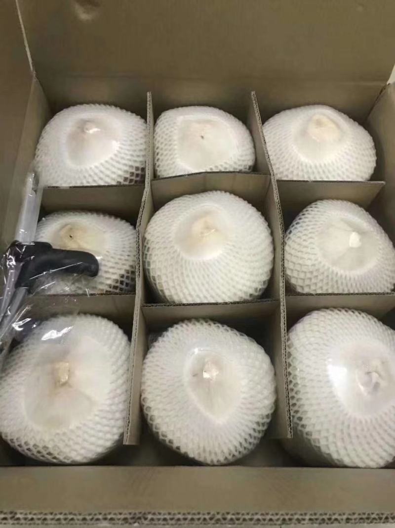 海南精品椰青！这是来自海南的祝福！