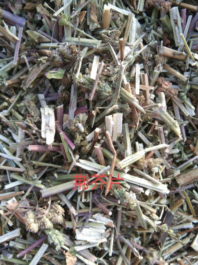 荆芥穗荆芥片，荆芥租子