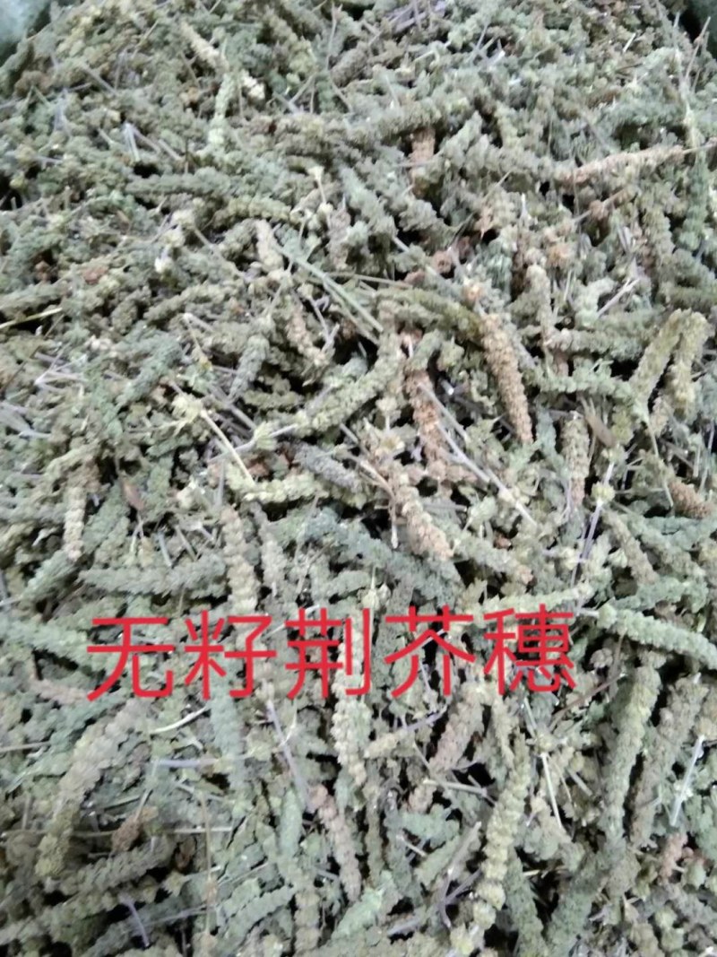 荆芥穗荆芥片，荆芥租子